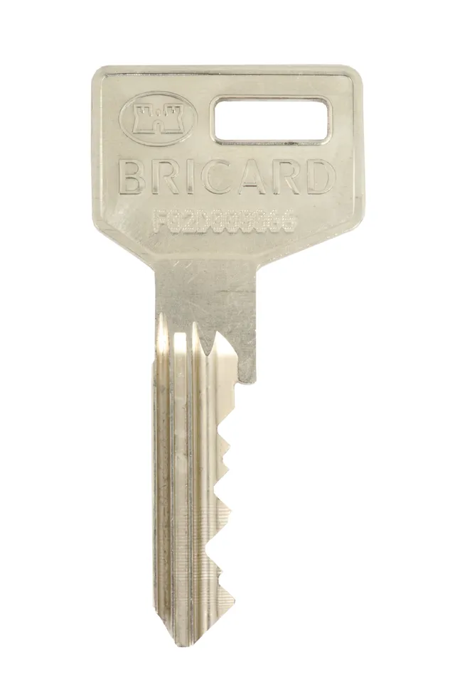 bricard-octal-sicherheitszylinder-mit-sicherungskarte image 1