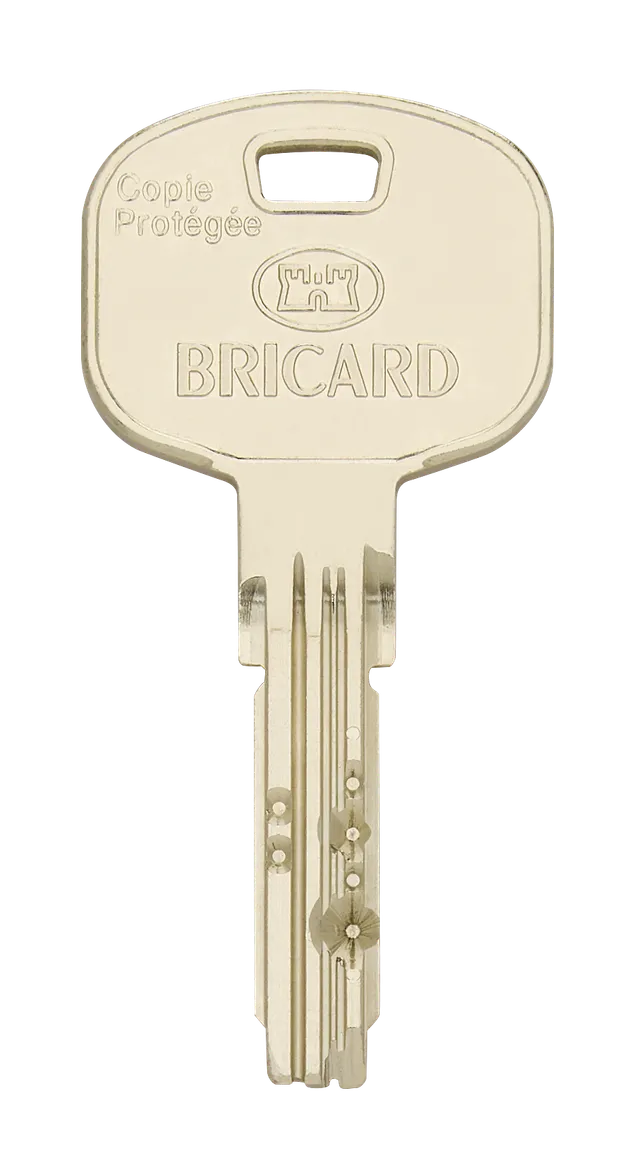 bricard-tertial-sicherheits-schlie-zylinder-mit-sicherungskarte image 1