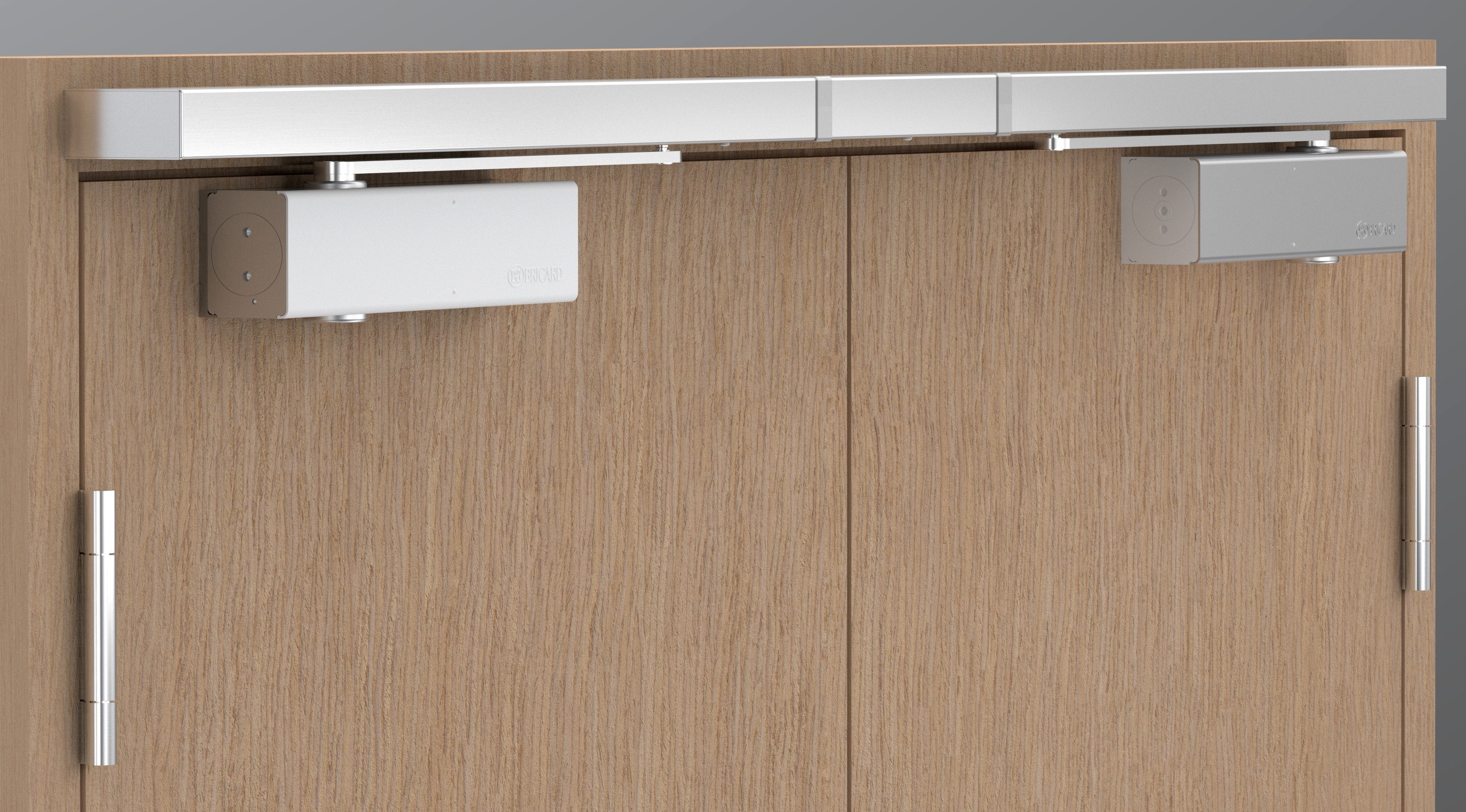 bricard-serie-7000-feststell-bandleiste-das-f-r-brandschutzt-ren image 1