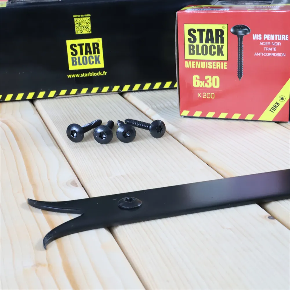 starblock-scharnierschraube-6x40-gro-er-rundkopf-torx-schwarz image 6